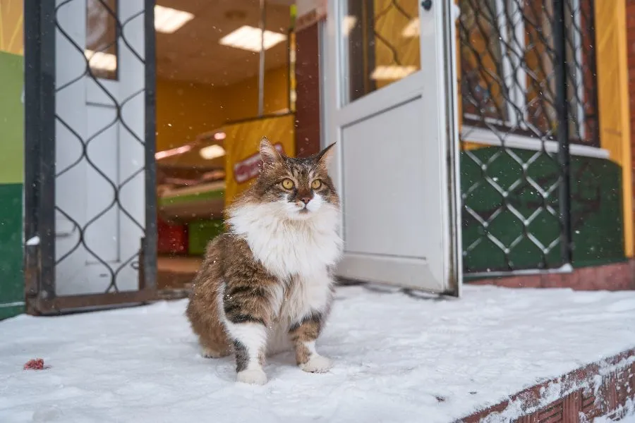 retail storefront entrance winter customers