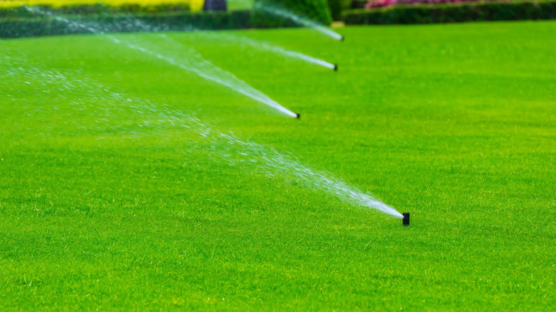 sprinkler irrigation system lawn
