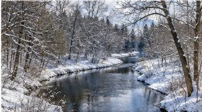 Shore Road Winter